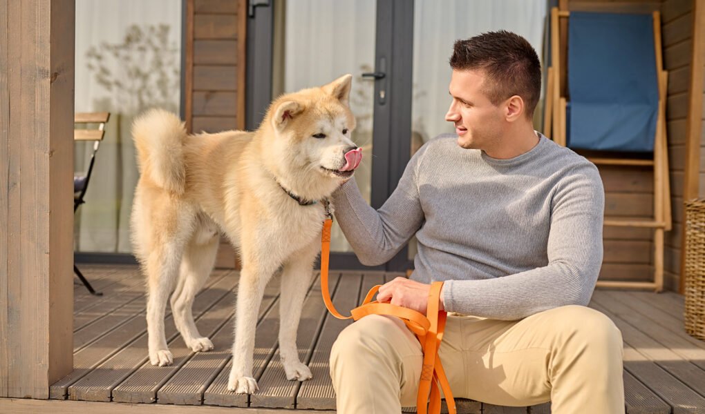 Understanding Dog Behavior: Decoding Canine Body Language