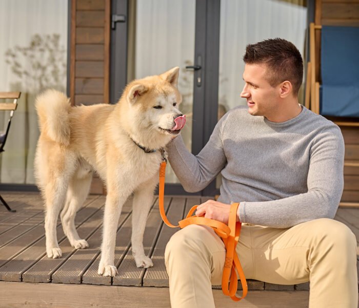 Understanding Dog Behavior: Decoding Canine Body Language