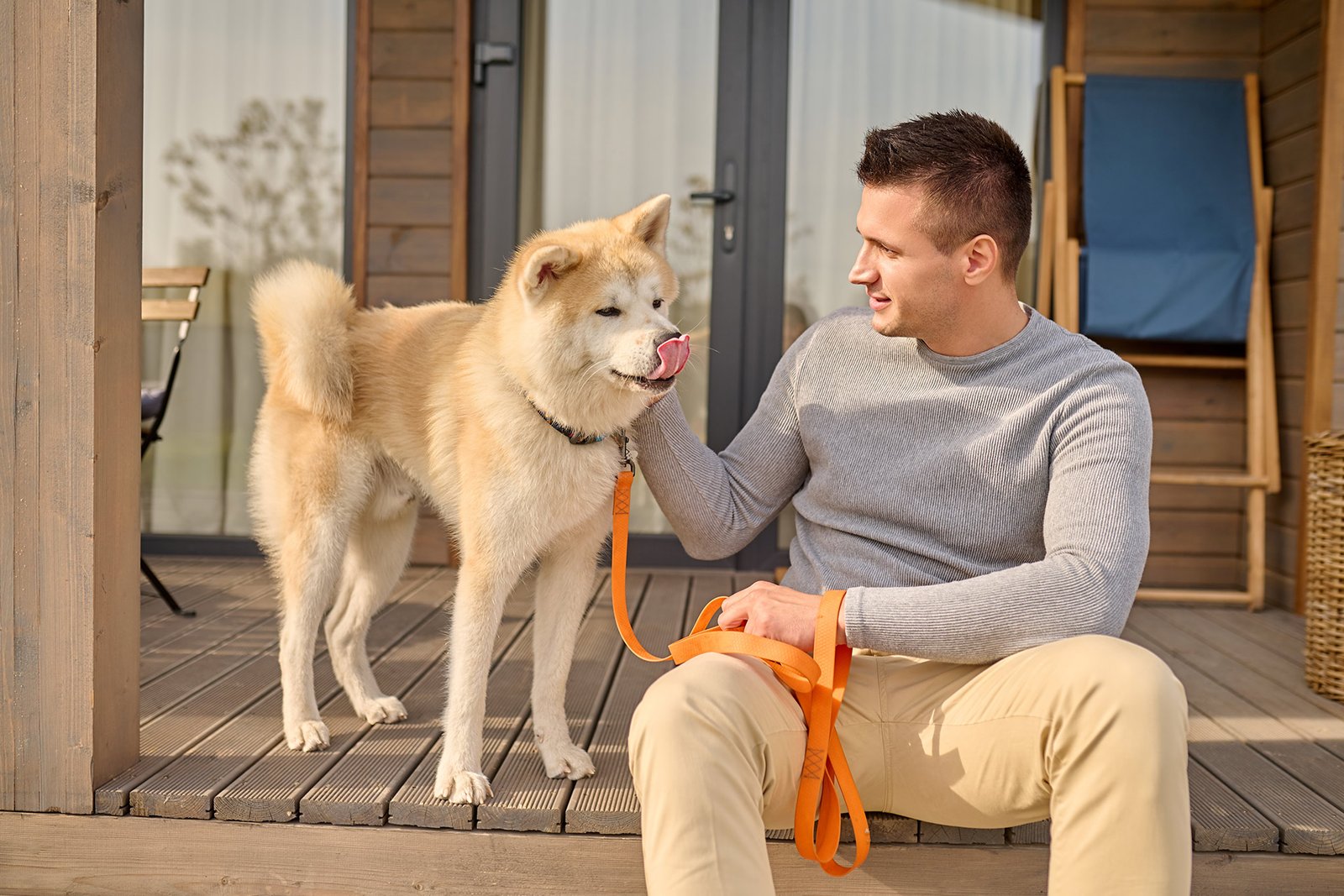 Understanding Dog Behavior: Decoding Canine Body Language