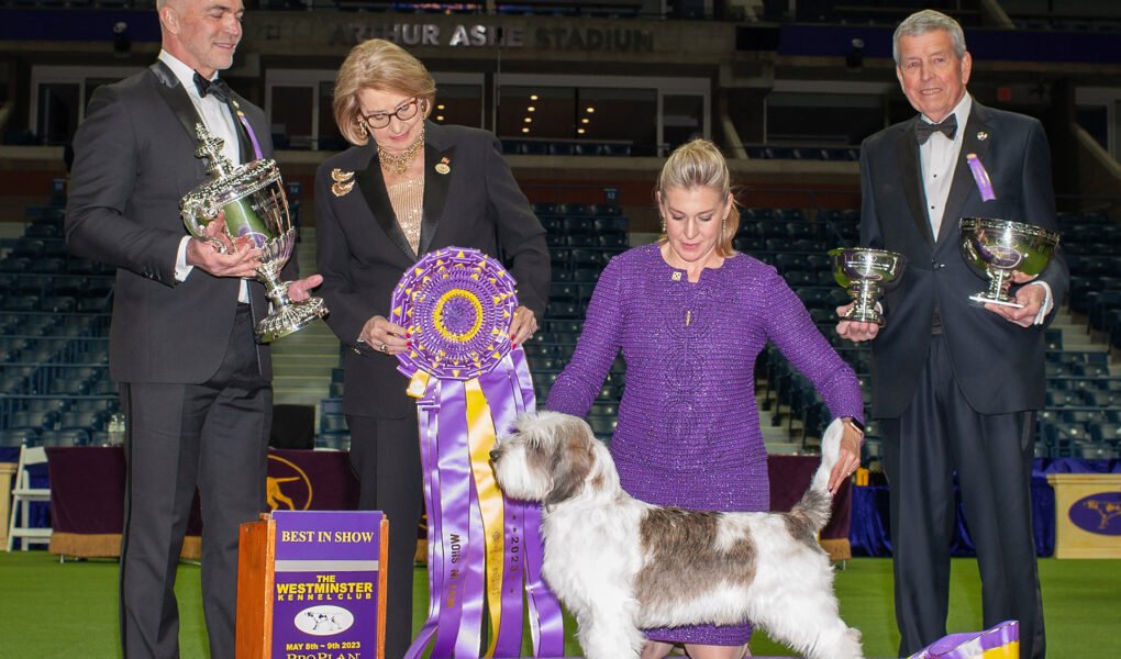 Celebrating the 2023 Best in Show winners at the Westminster Dog Show