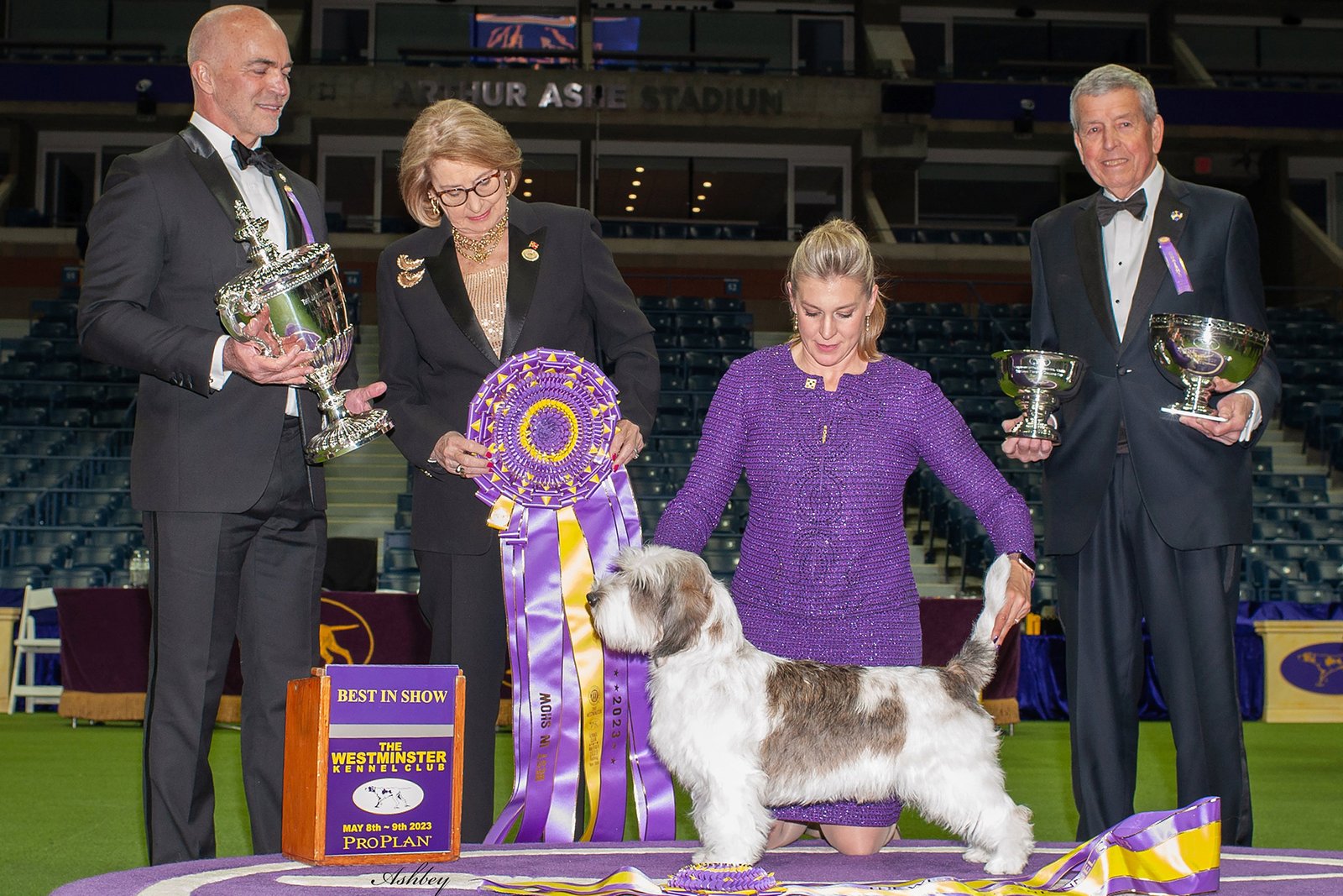 Celebrating the 2023 Best in Show winners at the Westminster Dog Show
