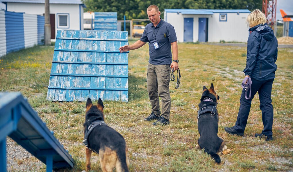 Effective Dog Training Techniques