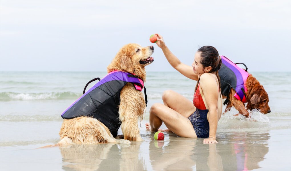 Pet-Friendly-Holiday-Ideas