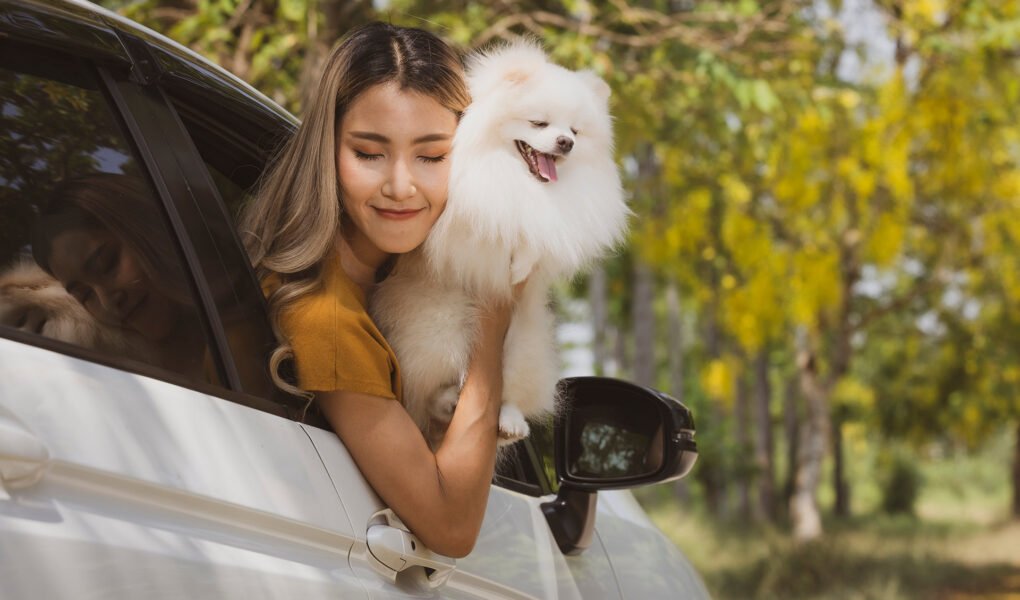 Traveling-with-Pets