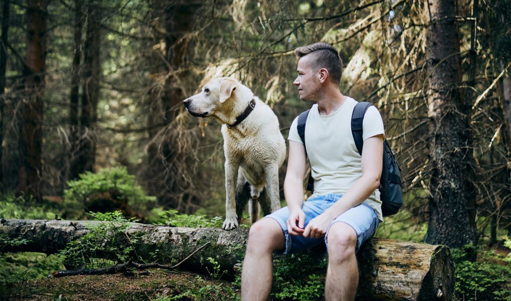 Outdoor Adventures with Dogs: Exploring Hiking Trails and Nature Parks