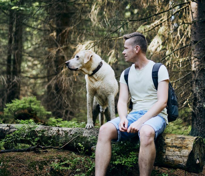 Outdoor Adventures with Dogs: Exploring Hiking Trails and Nature Parks