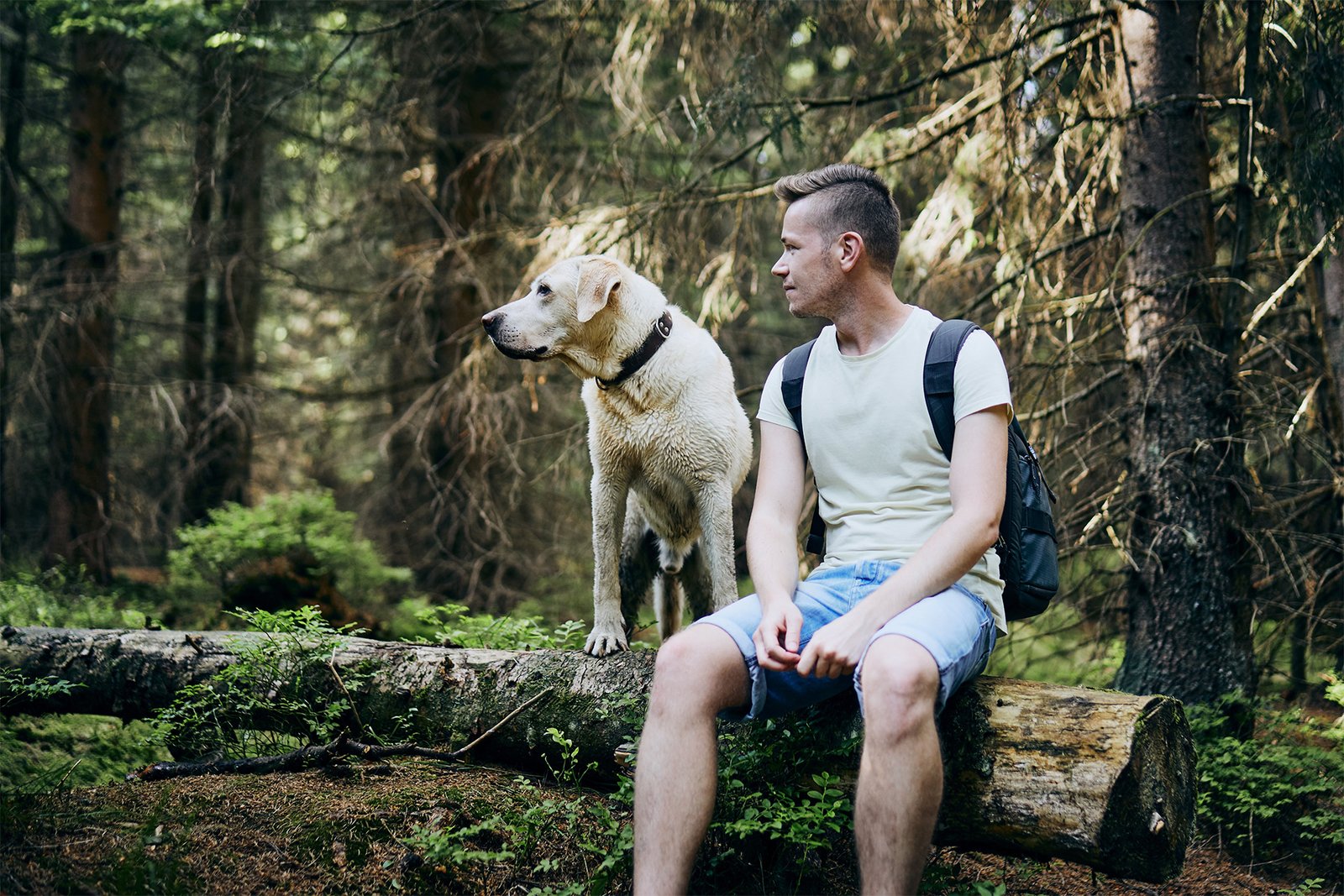 Outdoor Adventures with Dogs: Exploring Hiking Trails and Nature Parks