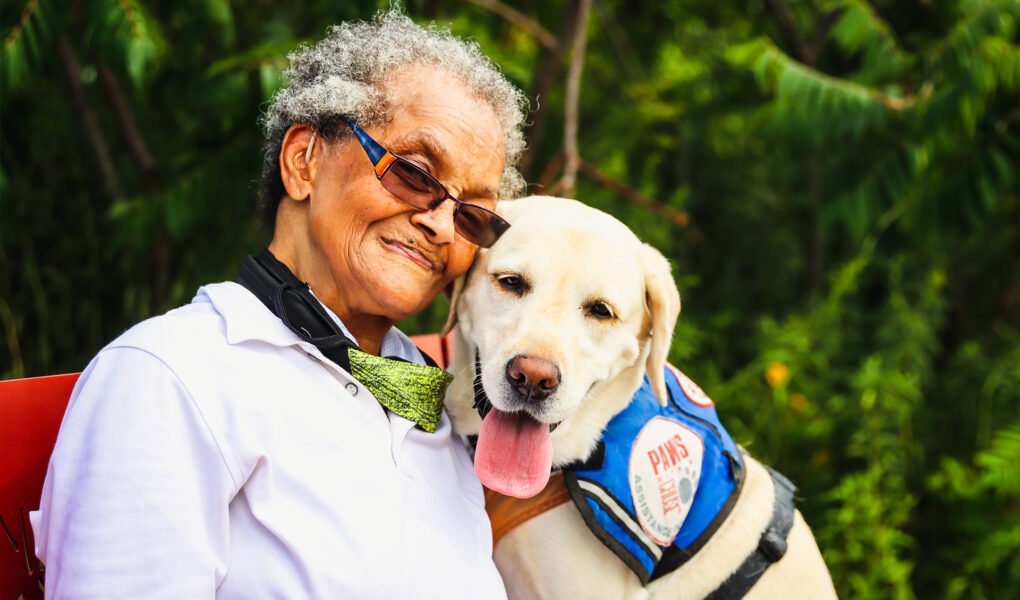 Caring-for-Senior-Dogs'-Joint-Health-and-Mobility