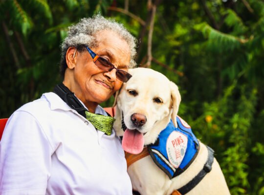 Caring-for-Senior-Dogs'-Joint-Health-and-Mobility