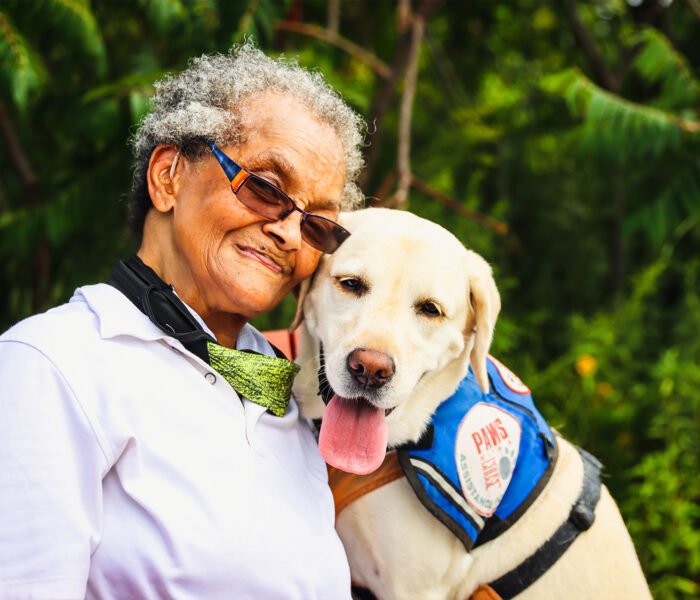 Caring-for-Senior-Dogs'-Joint-Health-and-Mobility