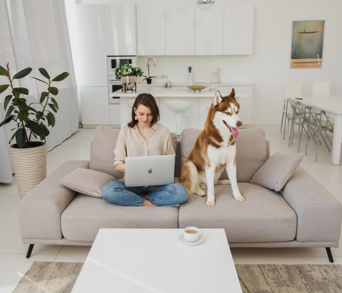 Dog-Breeds-for-Apartment-Living