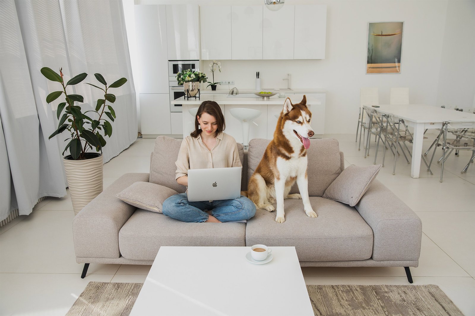 Dog-Breeds-for-Apartment-Living