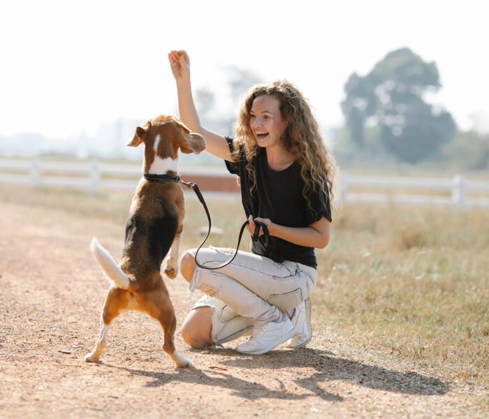 Effective-Training-Tips-for-Small-Dogs